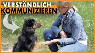 Hund hört nicht I Verständlich mit dem Hund kommunizieren für erfolgreiche Hundeerziehung