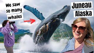 AMAZING WHALE WATCHING in Juneau!! (Alaska Cruise)