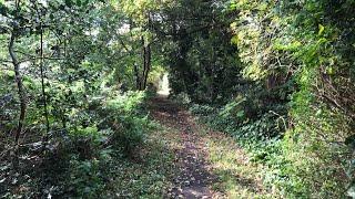 The Abandoned Line from Mill Hill East to Edgware