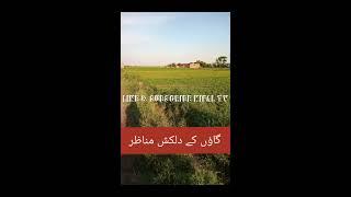 Beautiful Village Life of Punjab Pakistan.../Kifal TV