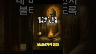 화는 나를 먼저 태웁니다. 오늘은 조용히 바라보는 하루 되세요