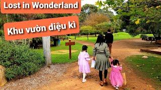 Lost in Wonderland - The Maze in Margaret River #Mê cung bí ẩn #BBQ cuối tuần|Perth vlog