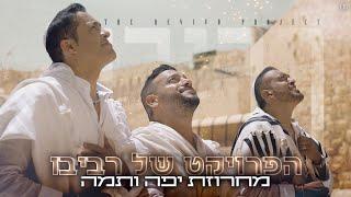 הפרויקט של רביבו - מחרוזת יפה ותמה | The Revivo Project - Yafa Ve Tama Medley