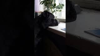 работаешь-работаешь и приуныл