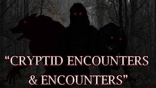 "Cryptid Research & Encounters" Interview with Asheville Cryptid & Paranormal Society