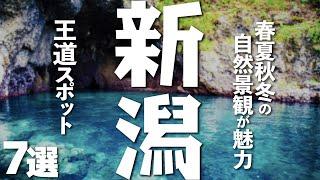 【新潟観光】新潟観光には欠かせない王道（定番）スポット７選