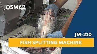 JOSMAR: JM-210 Fish Splitting & Gutting Machine | Abridora & Evisceradora de pescado