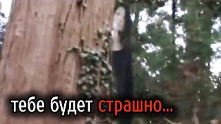 Самые Ужасные Видео со Всего Мира #1