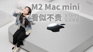 很强，但未必适合你：M2 Mac mini 我值得拥有，但不值得你拥有