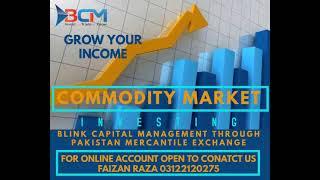 Trade and Grow Your Income With Blink Capital Management #trading #bcm #forex #viral #shorts #pmex