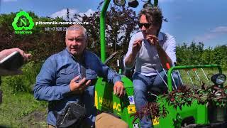 HOLMAC  в гостях у питомника "НЕМЦЕВО" (вопросы и ответы)