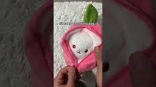Rocky loved this bunny #toybunny #plushbunny #plushrabbit #plushrabbits