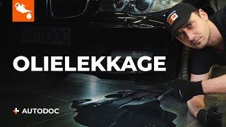 5 meest voorkomende oorzaken van olielekkage | AUTODOC tips