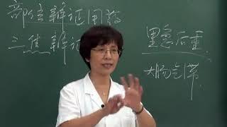 中药学教学视频 48 清热燥湿药1