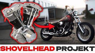 HARLEY DAVIDSON SHOVELHEAD von 1973 noch zu retten? | Projektstart "BORSTI"