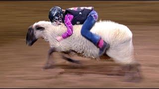 Mutton Bustin' highlights | San Antonio Rodeo | Feb. 14, 2022