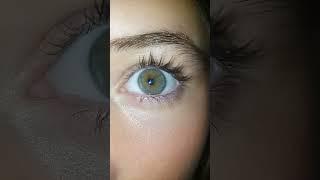 spider blink #lashes #butifyoucloseyoureyes #lashextensions #eyes #beauty