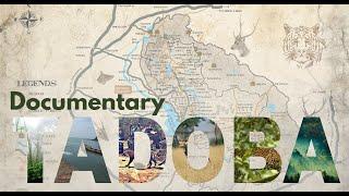 "Tadoba: Roar of the Wild" - The Tadoba Documentary || Maharashtra