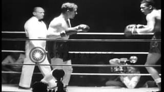 Harry Matthews defeats Baby Dutch Culbertson in a boxing bout in Portland, Oregon...HD Stock Footage