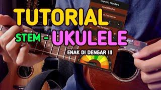 TUTORIAL STEM UKULELE SENAR 4 | By Anggit Satrio Wibowo