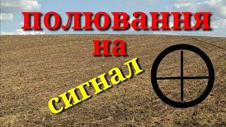 ПОЛЮВАННЯ НА СИГНАЛ