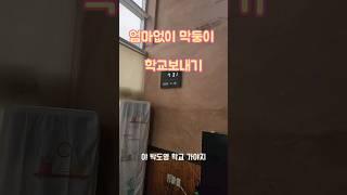 엄마없이 학교 보내는기 이리잼있을줄이야.. #가족