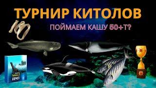 СТРИМ РР3. ИДЕМ СТАВИТЬ РЕКОРД НА КАШУ В ТУРНИРЕ КИТОЛОВ.