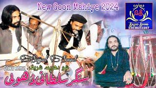 Sultani Dholi Dilawar Rehman || Goon Mahiye 2024 __ #SAJJADSOUNDGS ___ VIP SONG 2024