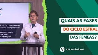 Fisiologia veterinária: sistema reprodutor das fêmeas