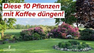 Diese 10 Pflanzen lieben Kaffeesatz! Kaffee als Dünger im Garten einsetzen!