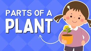 Kids Educational Videos | Kindergarten and Elementary ENGLISH SCIENCE | Parts of a Plant for Kids!!!