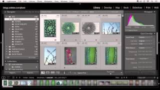 Lightroom 5: Creating Custom Collections of Images | Adobe Lightroom