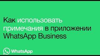 Как использовать примечания в приложении WhatsApp Business | WhatsApp