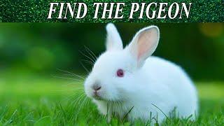 Find The Hidden Object | Hidden Object Game | AR Entertainment | Brain Teaser