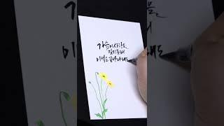 임영웅 미운사랑 가사 캘리그라피 | 청연캘리