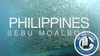 Филиппины, Себу - Дайвинг | Scuba Diving Philippines, Sebu, Moalboal