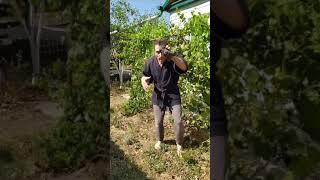 Куда уходит скованность, когда мозг видит опасность? Паркадоксы тела при болезни Паркинсона