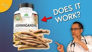 Ashwagandha: Benefits Too Good to Be True?