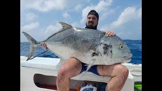 Fishing Djibouti 2024 - ADEN FISHING - CARANGUE GT Popper -[Ile des 7 frères]