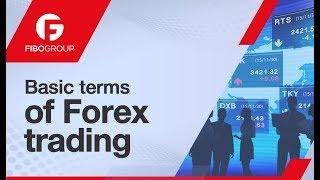 Basic terms and concepts of Forex trading | FIBO Group Lesson 2