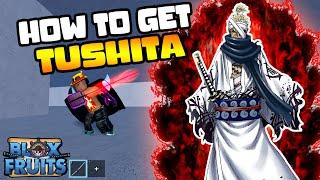 How to get Tushita Sword in Blox Fruits [Beginner's Guide]