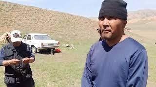 Кыргызстан  аңчылык Ак талаа