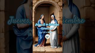 Evangelio de Hoy - 12 de Diciembre #jesus #misa #liturgia #catolico