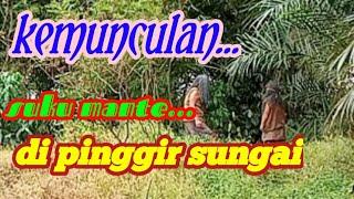 DARI PINGGIR SUNGAI TIBA-TIBA MUNCUL/suku mante