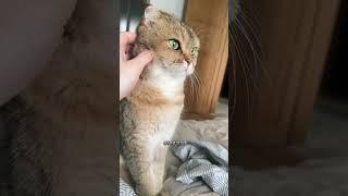 Приключения на новой территории