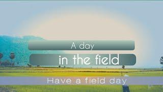 A day in the field ||arunachal pradesh||#ricefield #travelandevents