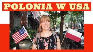 Polonia w USA.