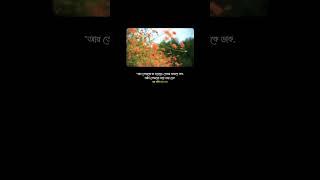 সূরা গাফির (৪০:৬০)
