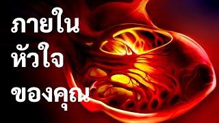 หัวใจของคุณคือเครื่องจักรที่ทรงพลังที่สุดในโลก