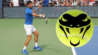 Novak Djokovic CRUSHING Forehands in Slow Motion